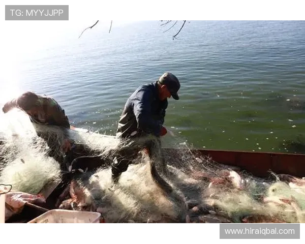 ag捕鱼王欢迎你，立即注册开启你的捕鱼冒险之旅